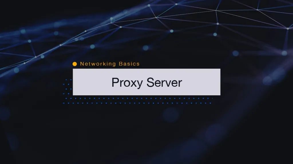What is a proxy server?